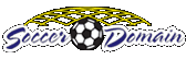 Soccer Domain